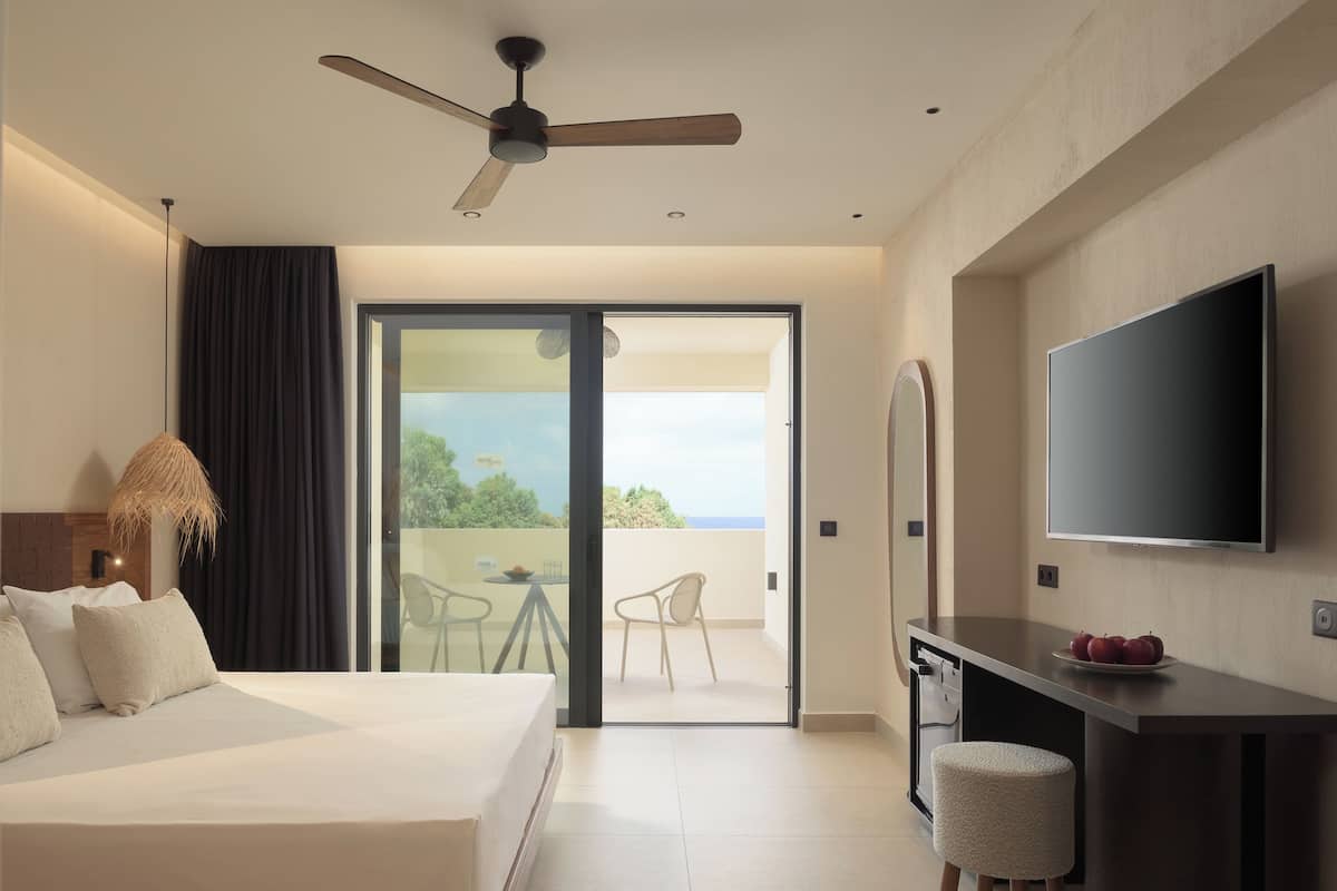 A hotel room with a bed, a desk with a TV, a ceiling fan, and a view of the outdoors.
