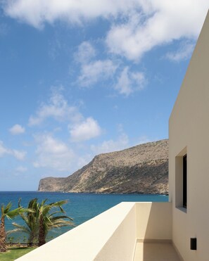 VIP Suite (2 Bedrooms) | شرفة/رواق