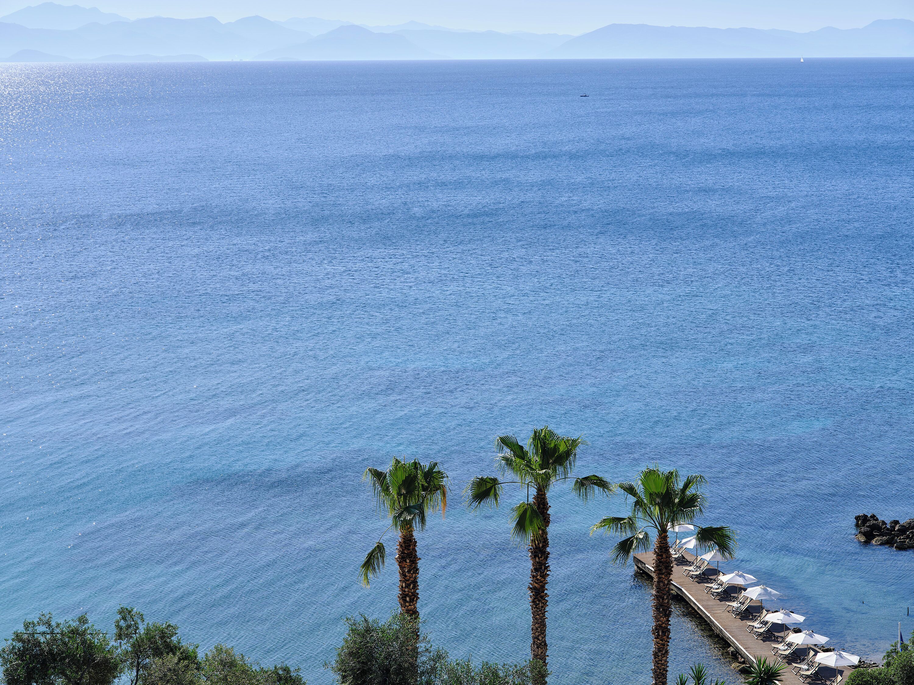 A coastal resort with a pool area, palm trees, and a view of the sea.