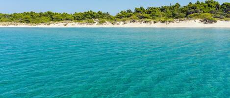 A coastal landscape with clear turquoise water, sandy beach, and dense green vegetation.