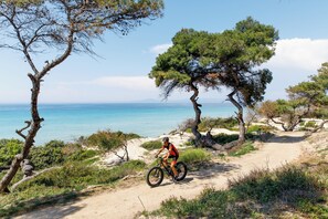 Cyclists can ride along this scenic path surrounded by trees and shrubs leading to a serene body of water.