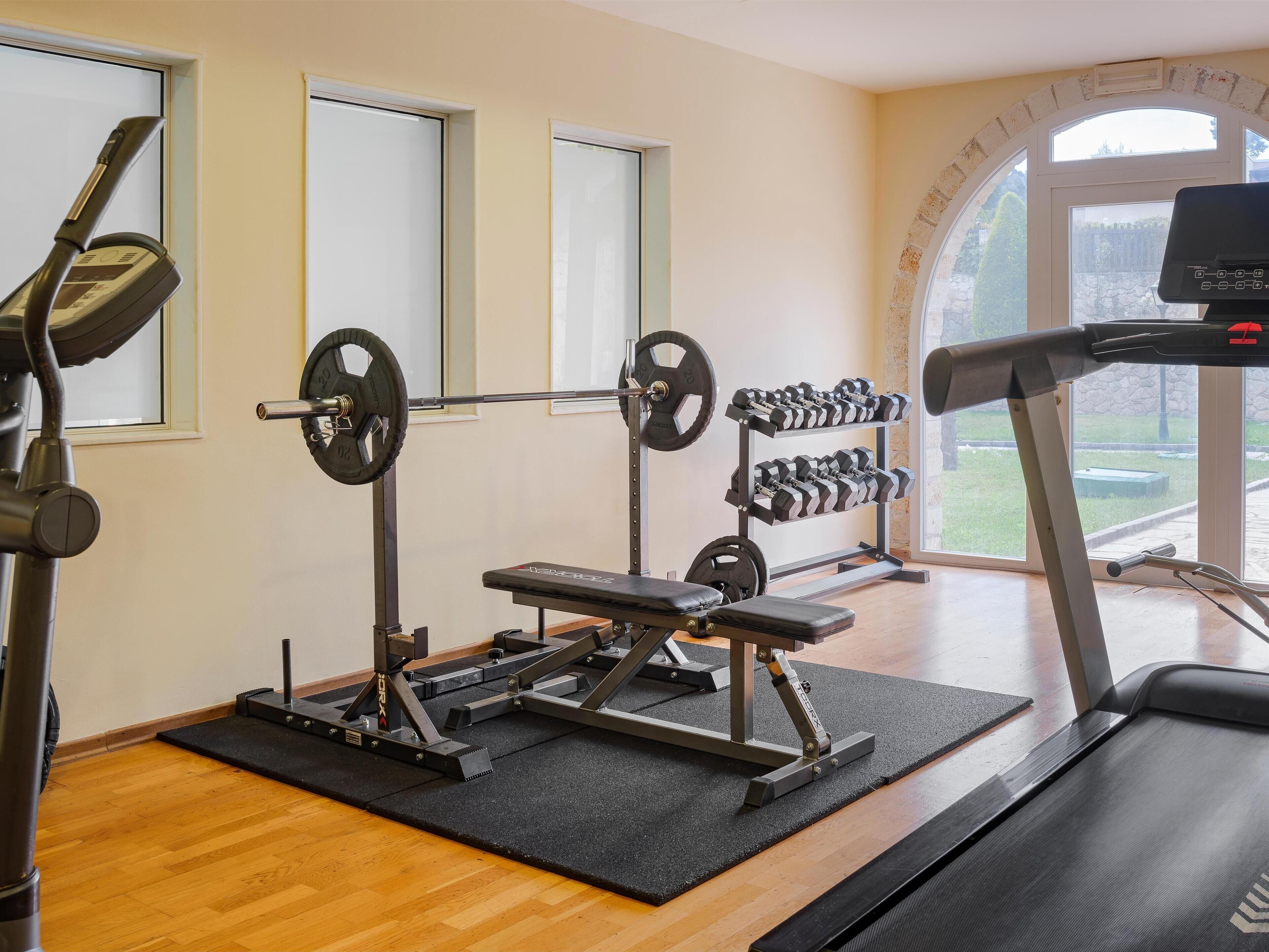 A gym with exercise equipment, a bench, and a treadmill.