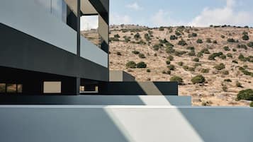 A modern building with a flat roof and large windows, set against a hilly landscape.