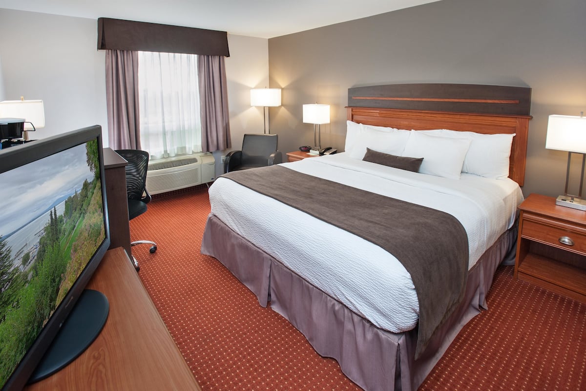 In-room safe, desk, iron/ironing board, free WiFi