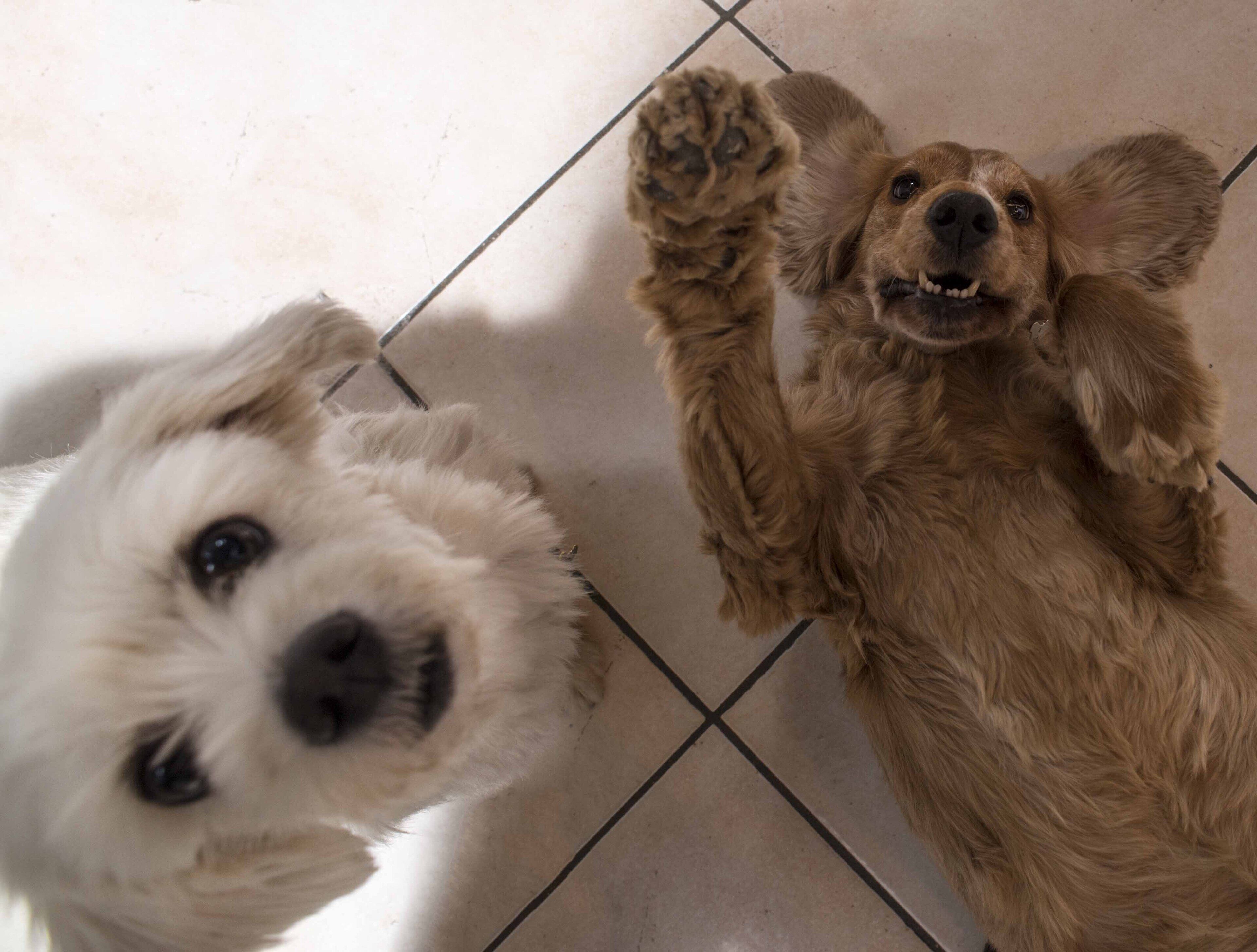 Photo - Hotel Kennedy