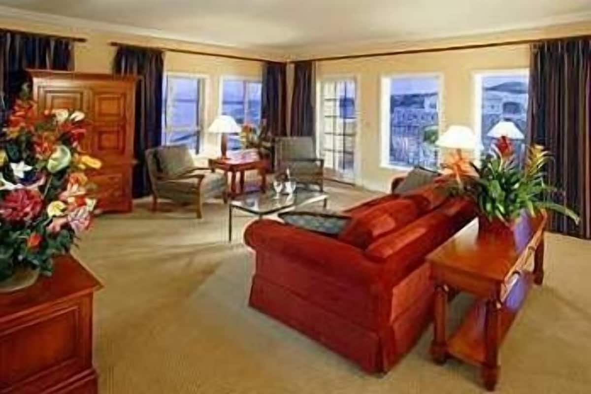 TV, DVD player, pay movies