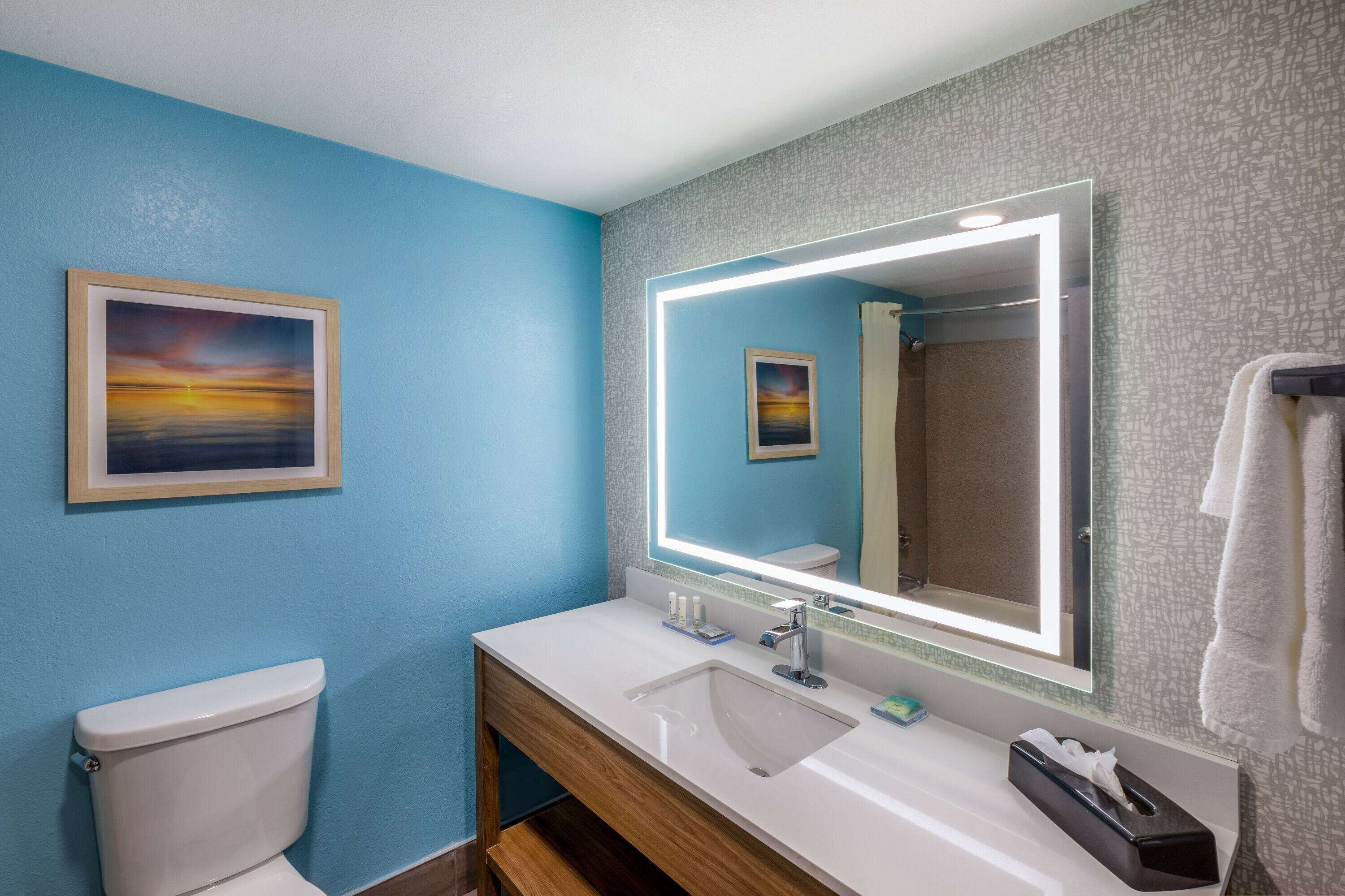 Une salle de bain avec un lavabo blanc, un miroir avec un éclairage intégré, un tableau encadré au mur et un porte-serviettes.