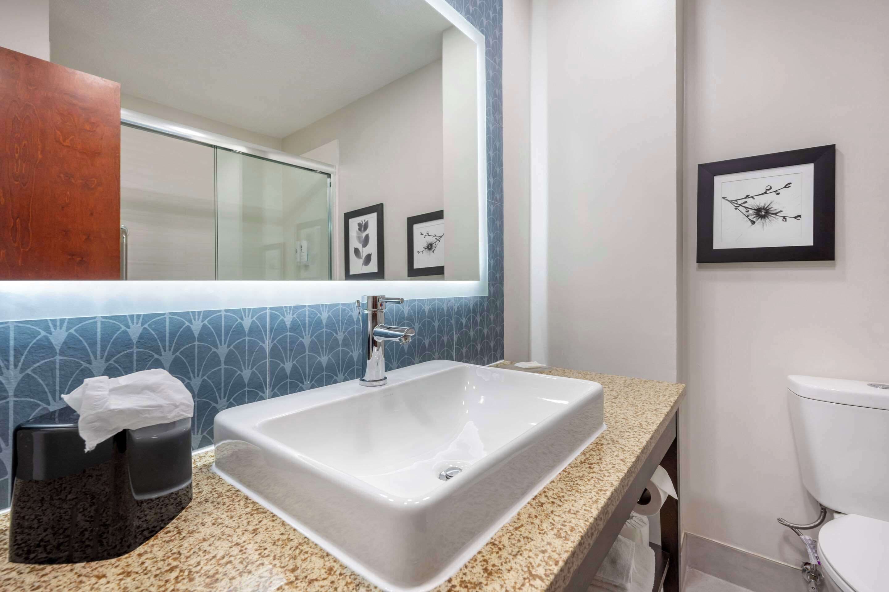 combined shower/bathtub, free toiletries, hair dryer, towels