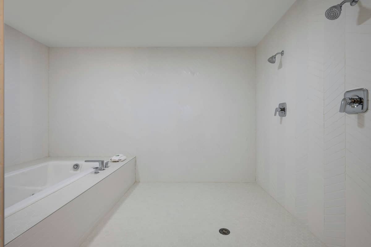 combined shower/bathtub, free toiletries, hair dryer, towels