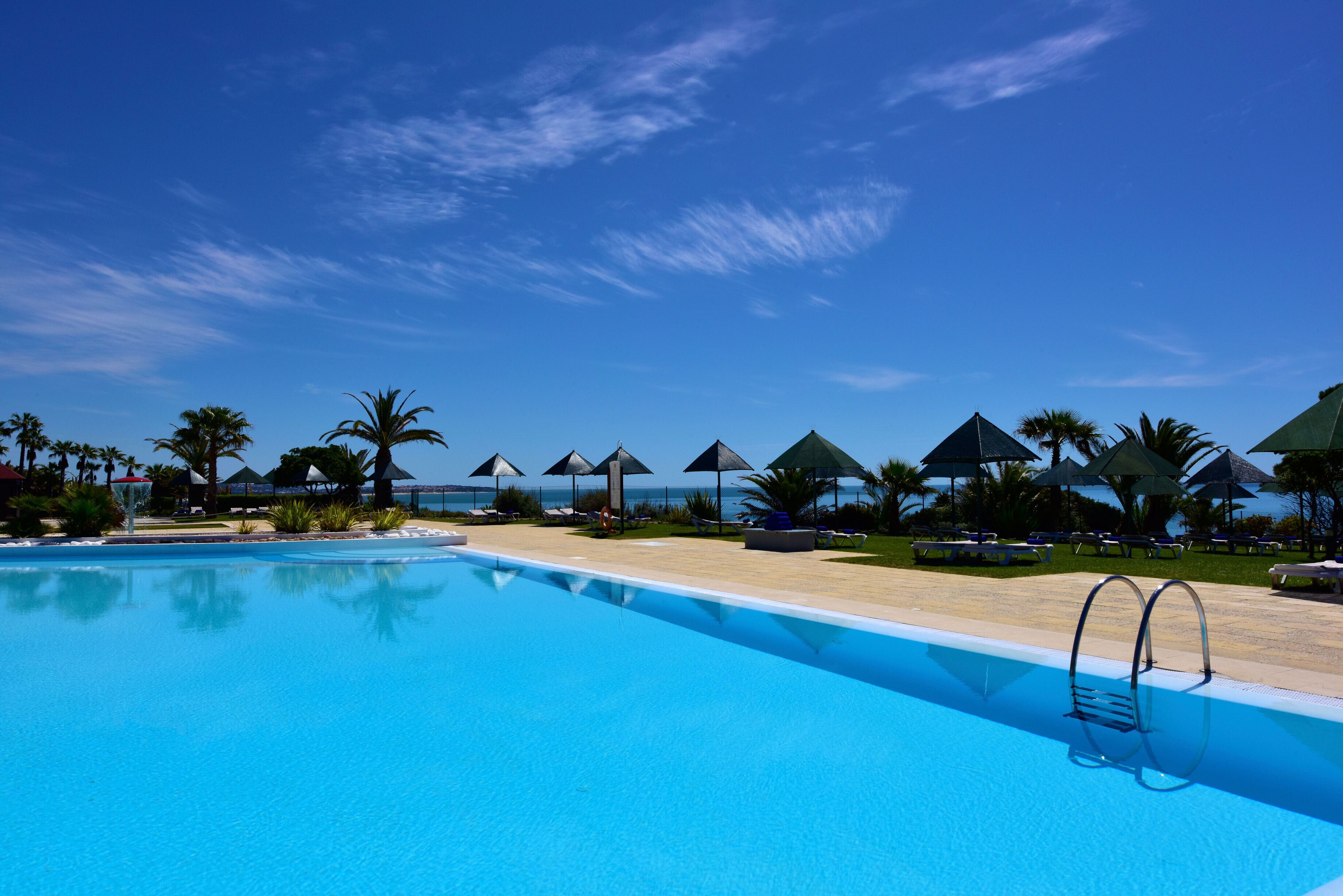 A clear blue pool with lounge chairs and umbrellas, surrounded by palm trees and a view of the sea.