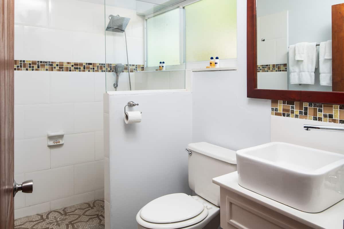 standard room | bathroom | free toiletries, towels