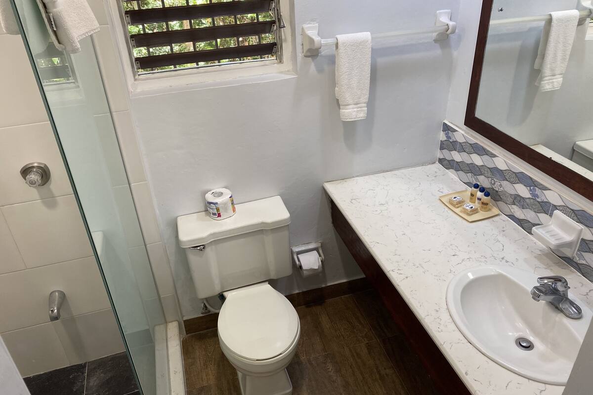 deluxe room | bathroom | free toiletries, towels