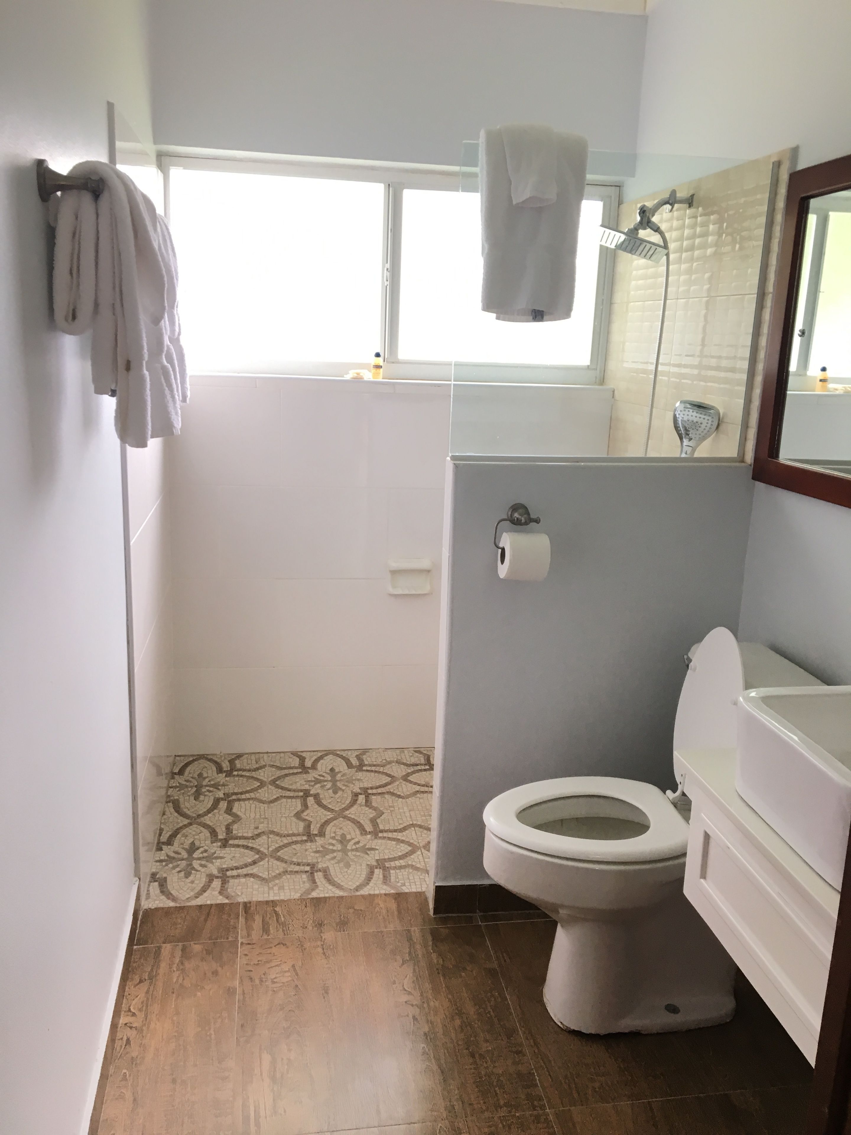 standard room | bathroom shower
