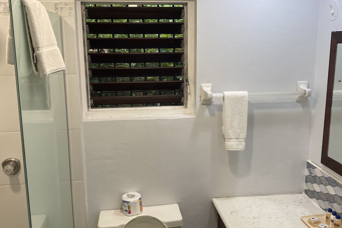 deluxe room | bathroom | free toiletries, towels