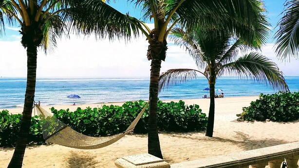 Uma praia com uma rede, palmeiras e vista clara do oceano.