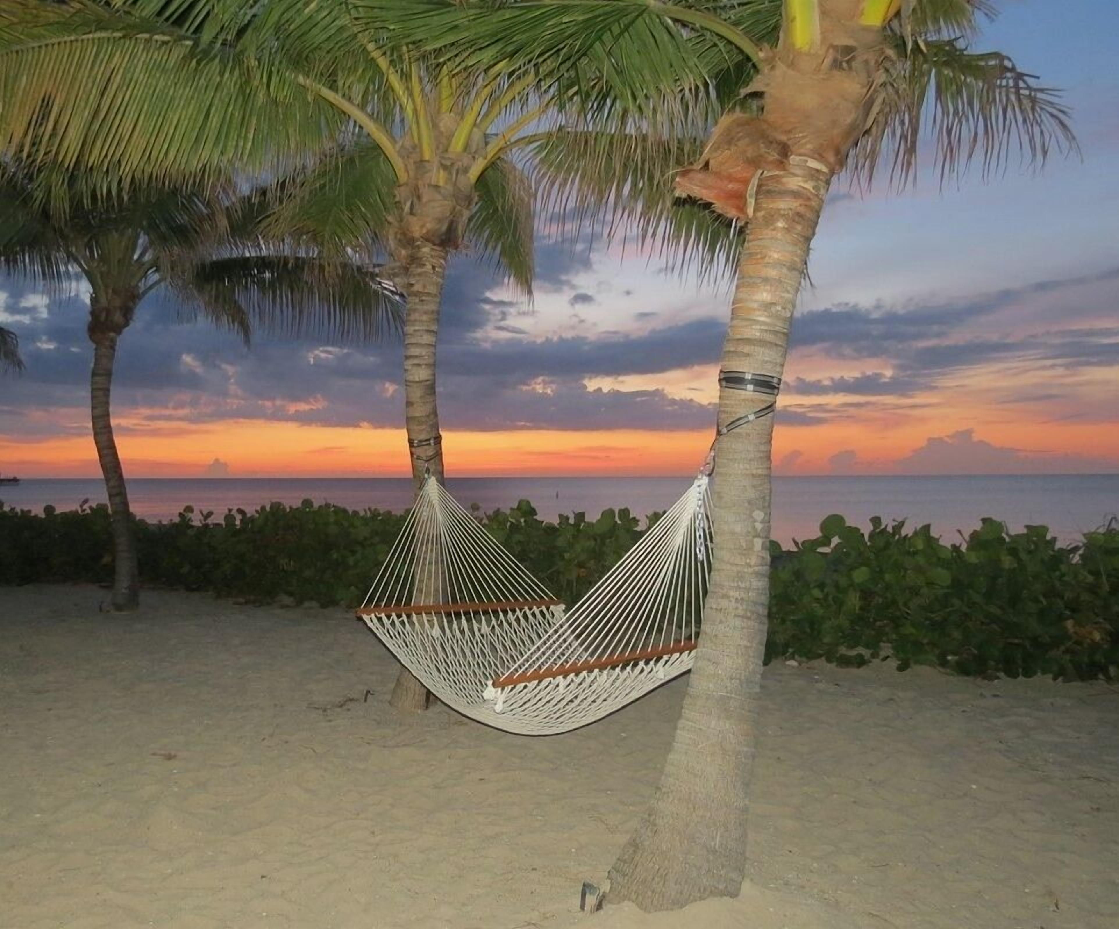 A hammock between two palm trees on a beach with a sunset view.