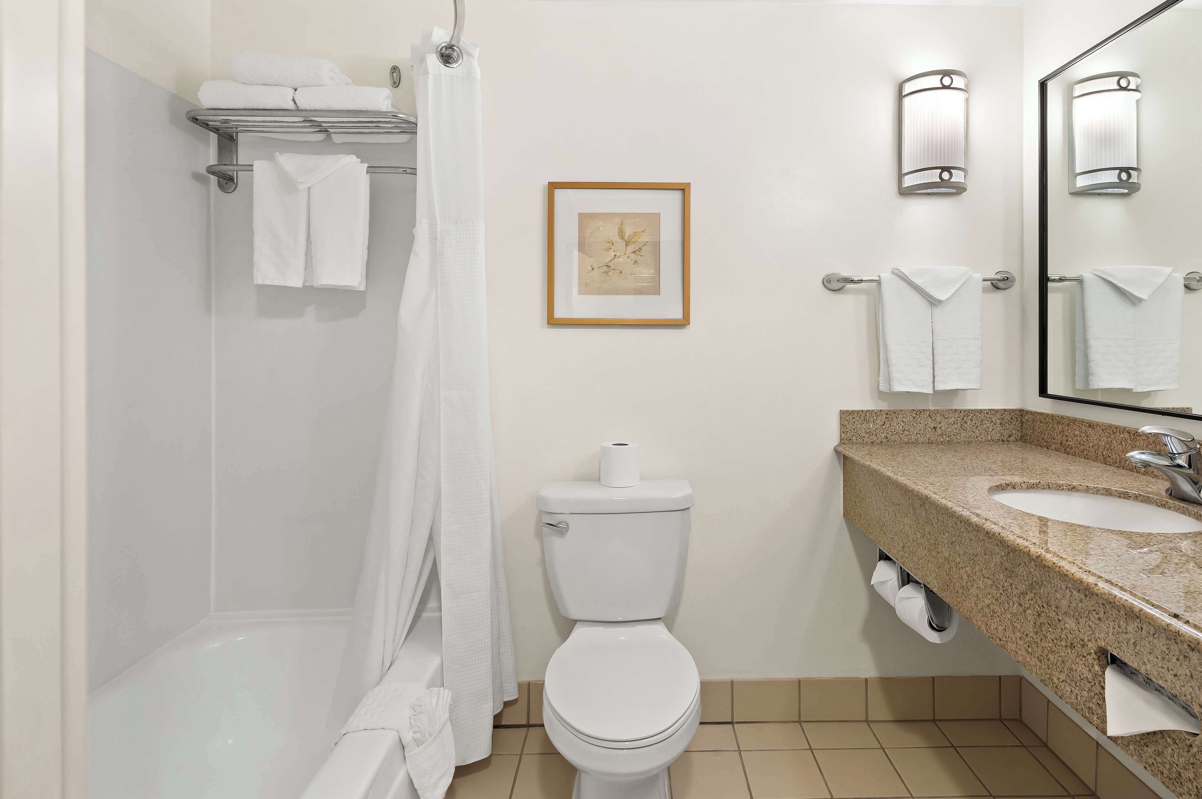 standard room, 1 king bed, non smoking (with single sofabed) | bathroom | combined shower/bathtub, free toiletries, hair dryer, towels