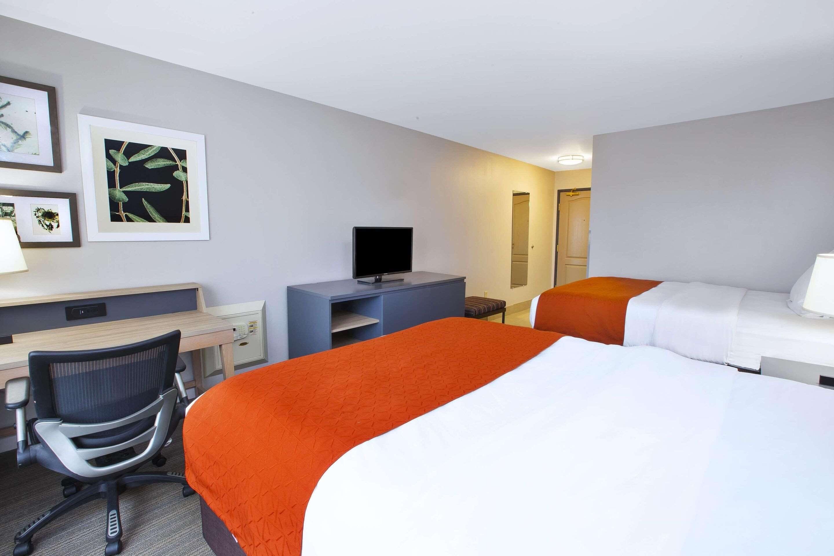 A hotel room with two beds, a desk, a chair, a television, and framed botanical prints on the wall.