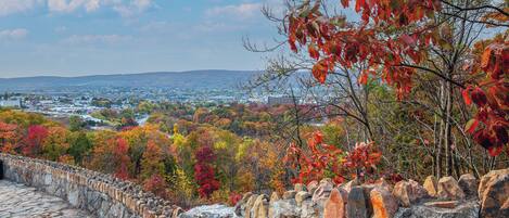 A stone wall with a view of a town and autumn foliage.