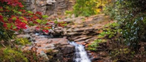 A waterfall in a natural setting with surrounding vegetation.