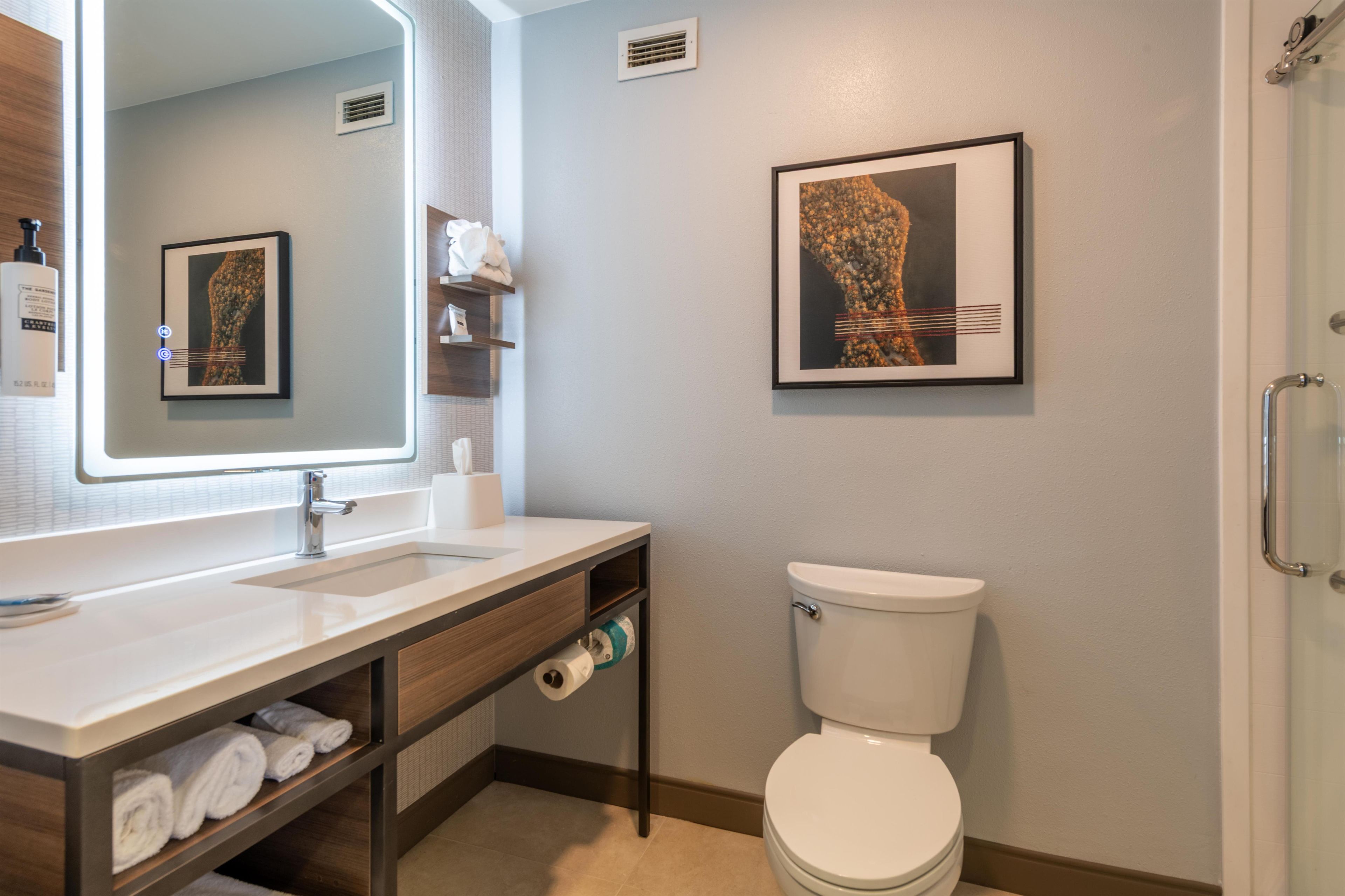 A modern bathroom with a large mirror, a white sink, a toilet, and two framed artworks on the walls.