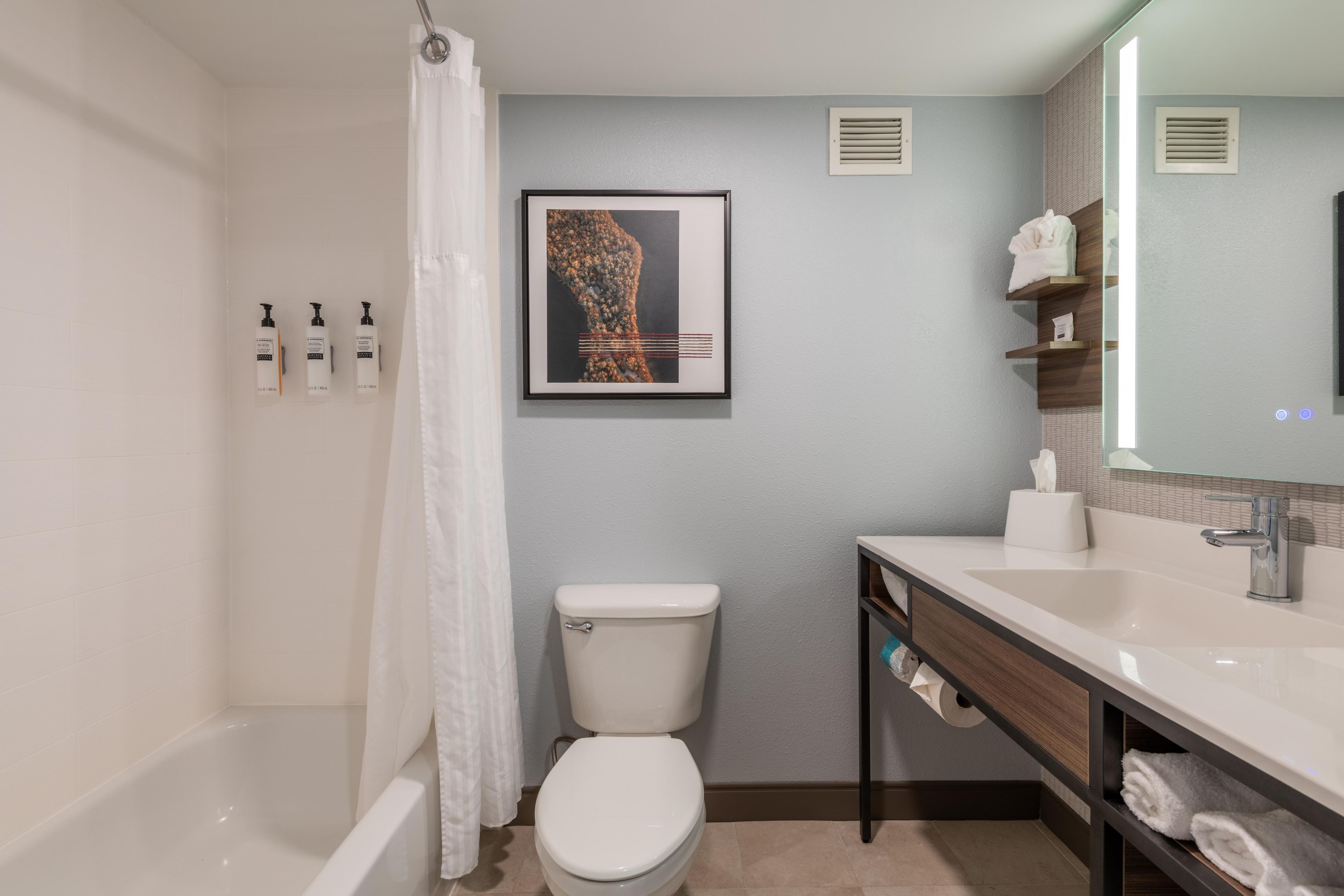 A modern bathroom with a bathtub, toilet, and sink. There are toiletries on the wall and a framed picture above the sink.