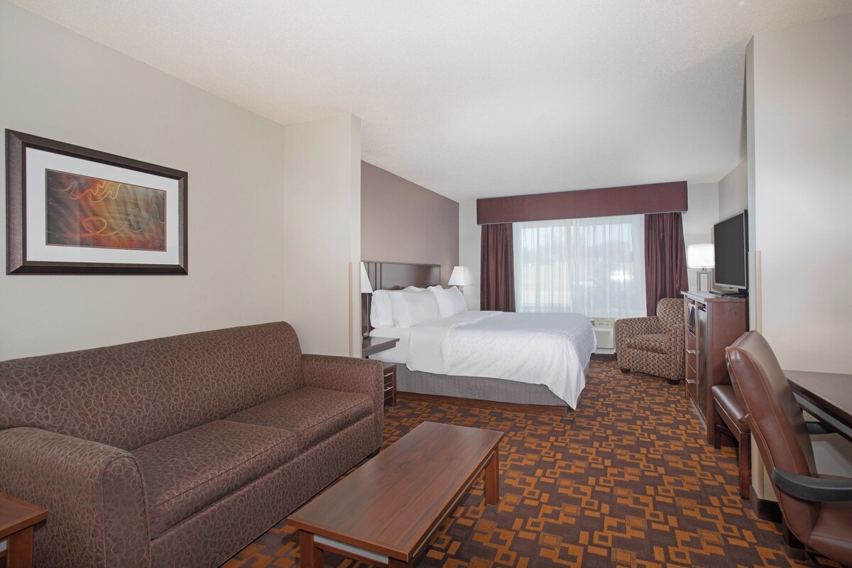 Suite, 1 King Bed with Sofa bed
