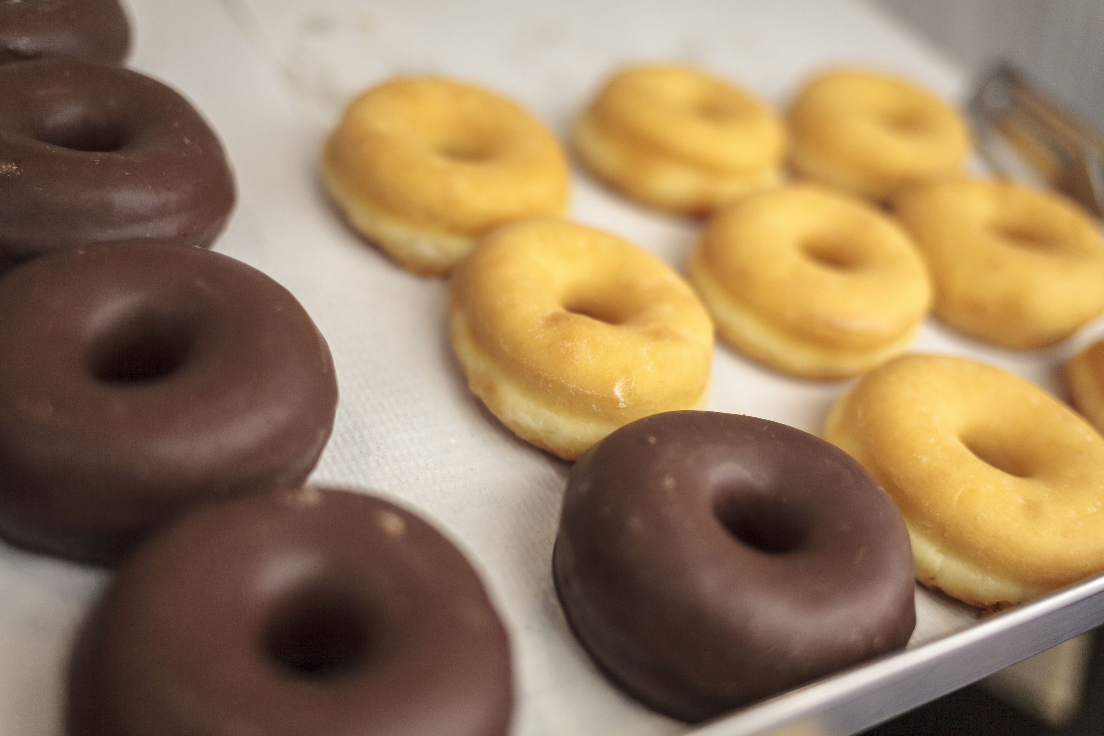 A tray of chocolate and plain doughnuts.