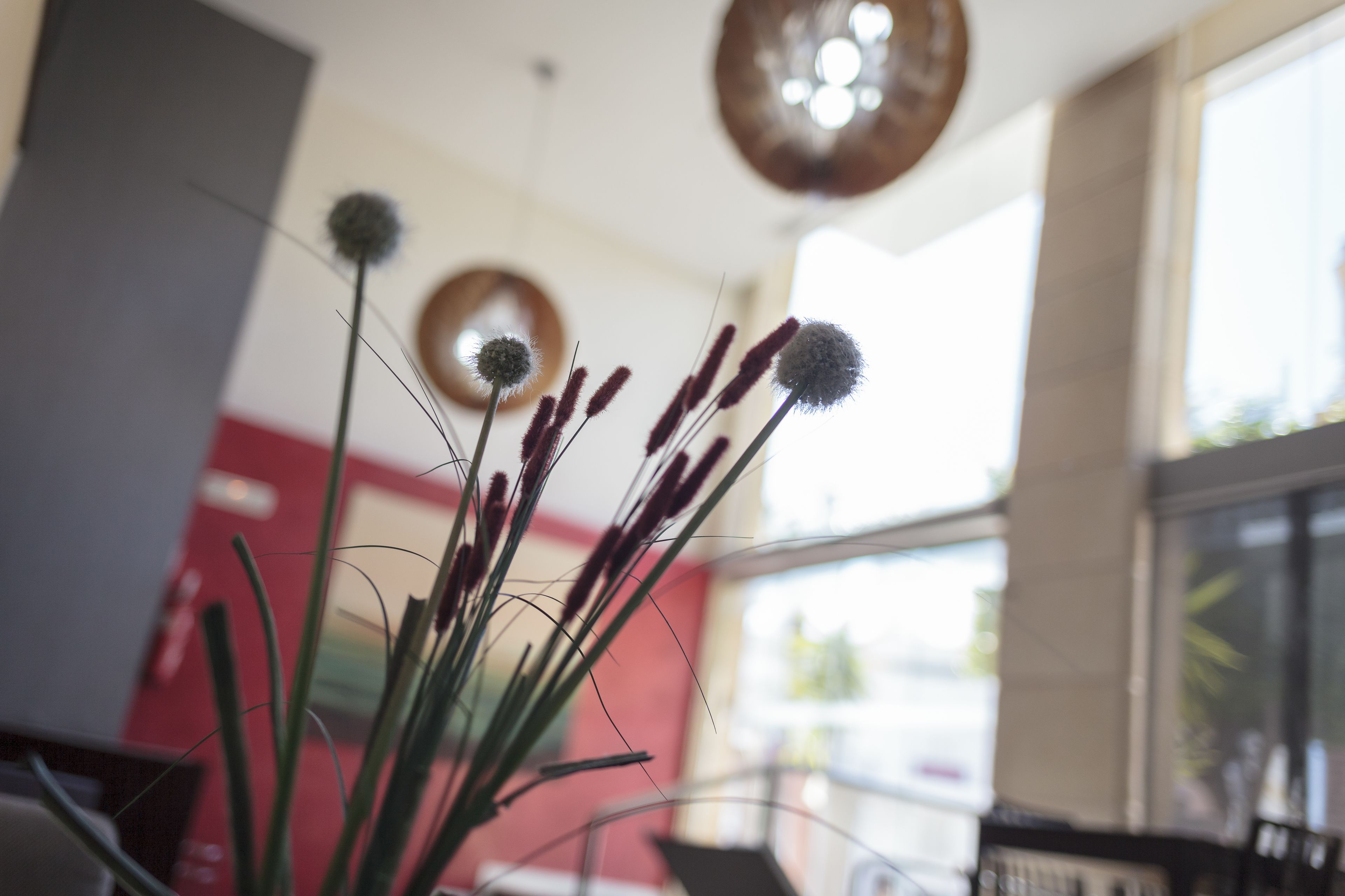 Foto - Hotel Salymar