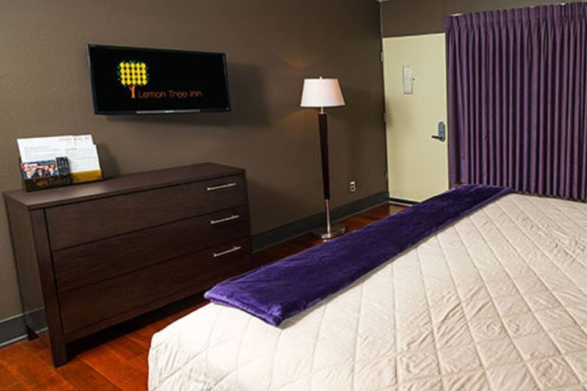 A hotel room with a bed, a dresser, a television, a window with curtains, and a wall-mounted picture.