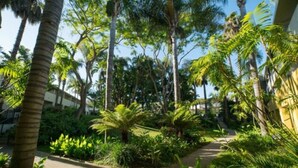 A lush garden with palm trees and ferns, a paved path, and a building in the background. - Lemon Tree Inn (Santa Barbara)