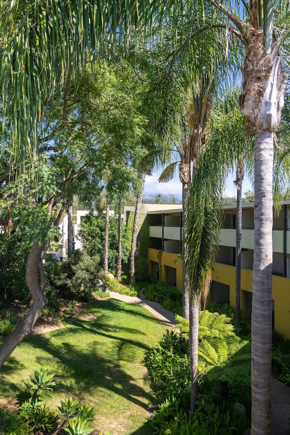 Un patio con palmeras, césped y un edificio de fachada amarilla.