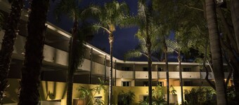 Lemon Tree Inn