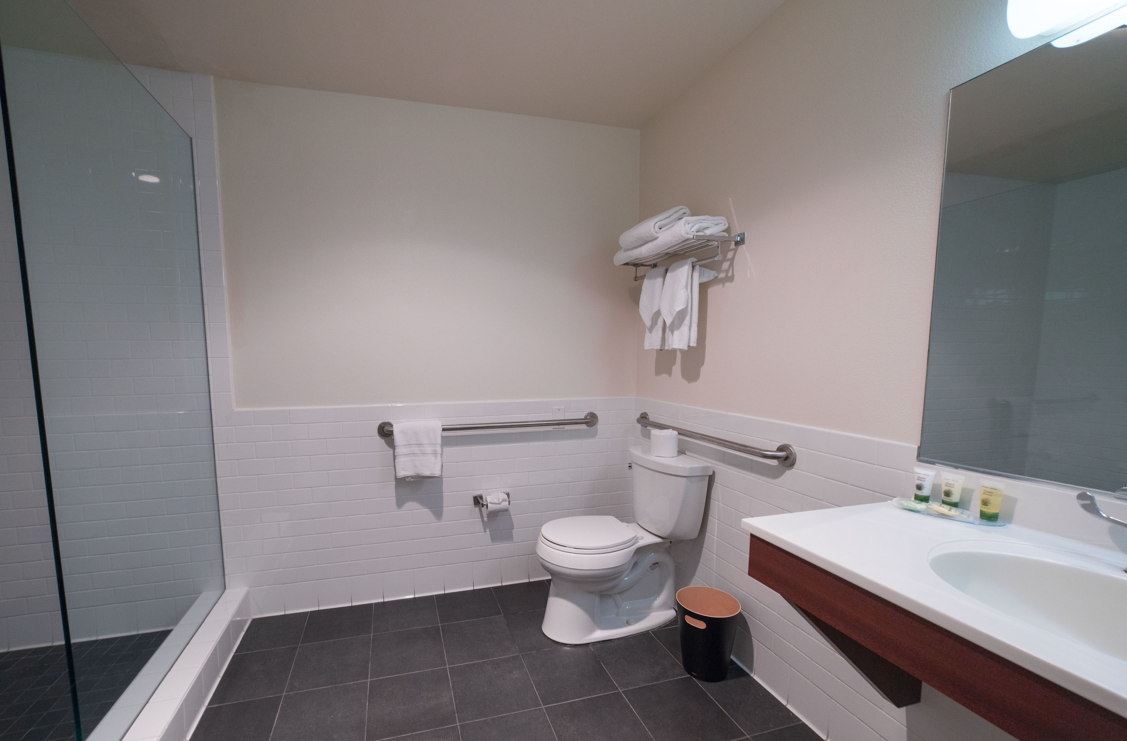 A bathroom with a white toilet, a glass shower enclosure, a sink with a mirror, and a towel rack.