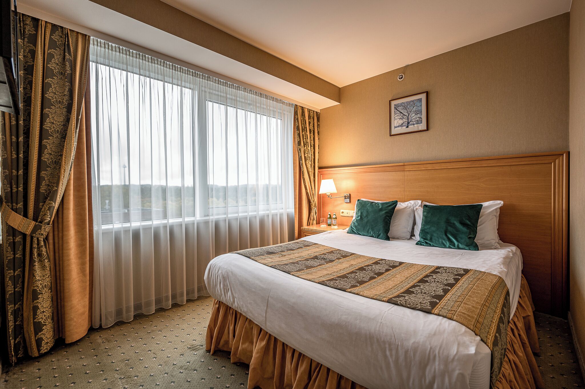 premium double room | 1 bedroom, hypo-allergenic bedding, minibar, in-room safe
