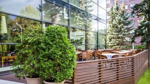 A patio area with outdoor seating and two large potted plants.