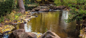 Columbia Gorge Hotel and Spa