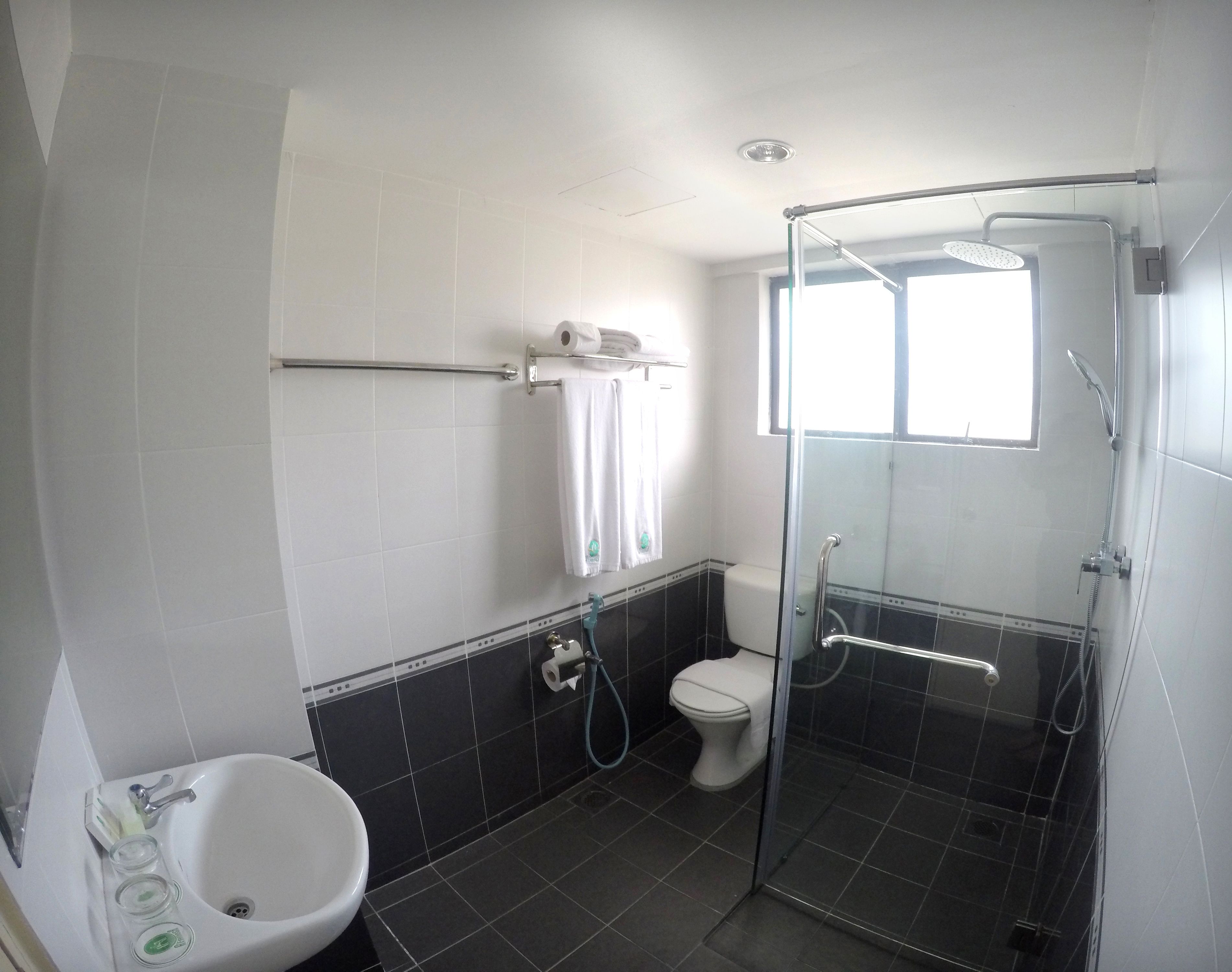 A bathroom with a glass-enclosed shower, a white sink, a toilet, and a towel rack.