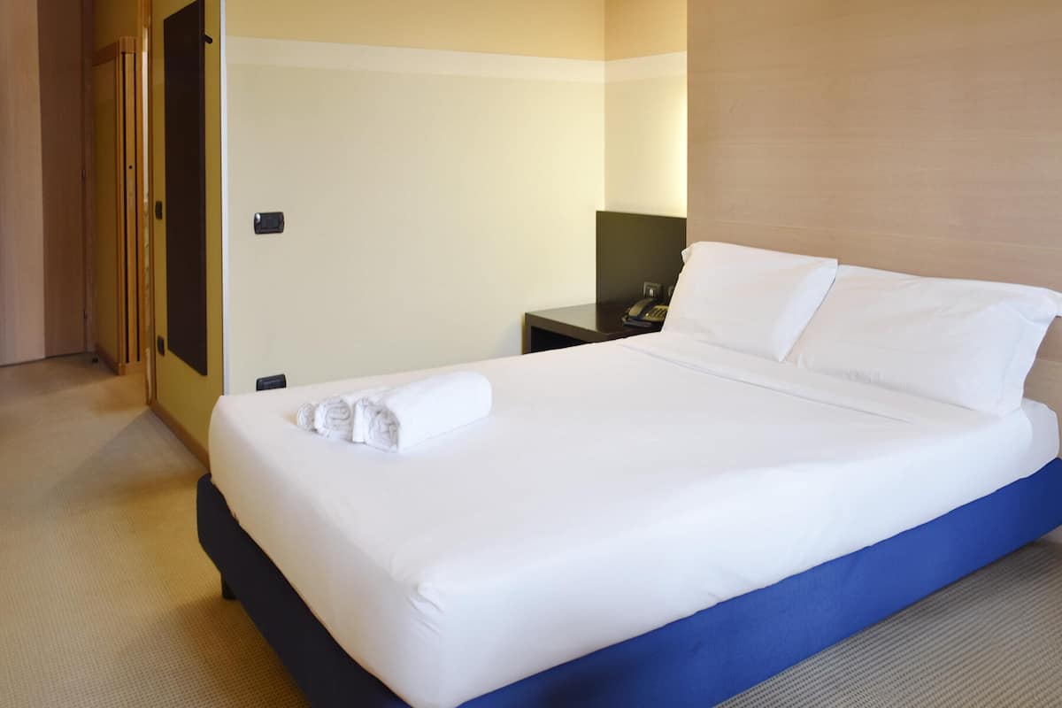 Standard Double Room | Down comforters, in-room safe, desk, soundproofing