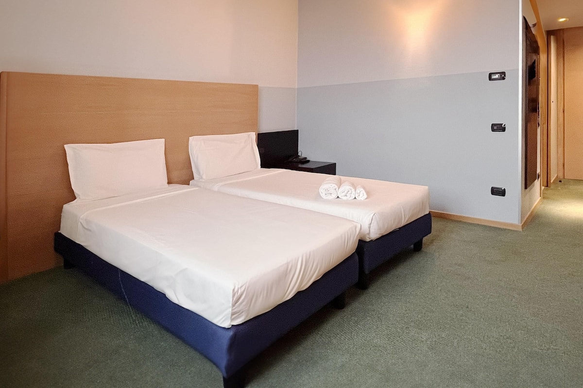 Standard Twin Room | Down comforters, in-room safe, desk, soundproofing