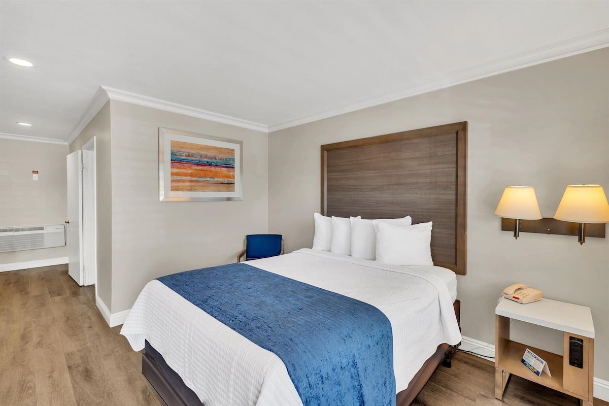 Habitación, 1 cama Queen size, para no fumadores | Escritorio, tabla de planchar con plancha, wifi gratis y ropa de cama