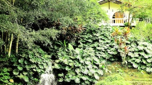 A lush garden with a waterfall, dense foliage, and a building with a balcony. - Rio Perlas Thermal Resort & Spa (Dulce Nombre)