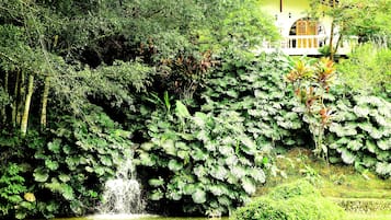 A lush garden with a waterfall, dense foliage, and a building with a balcony.