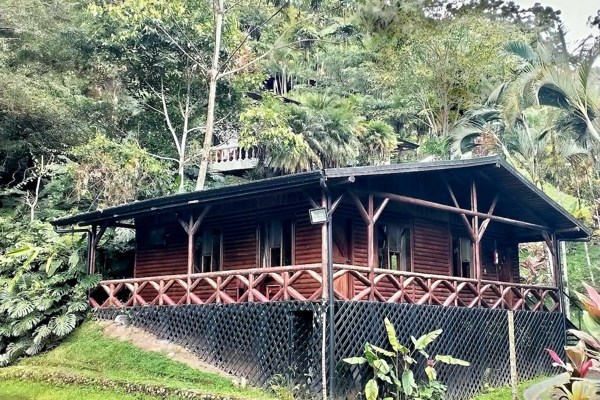 One-Bedroom Chalet | Premium bedding, down comforters, alarm clocks