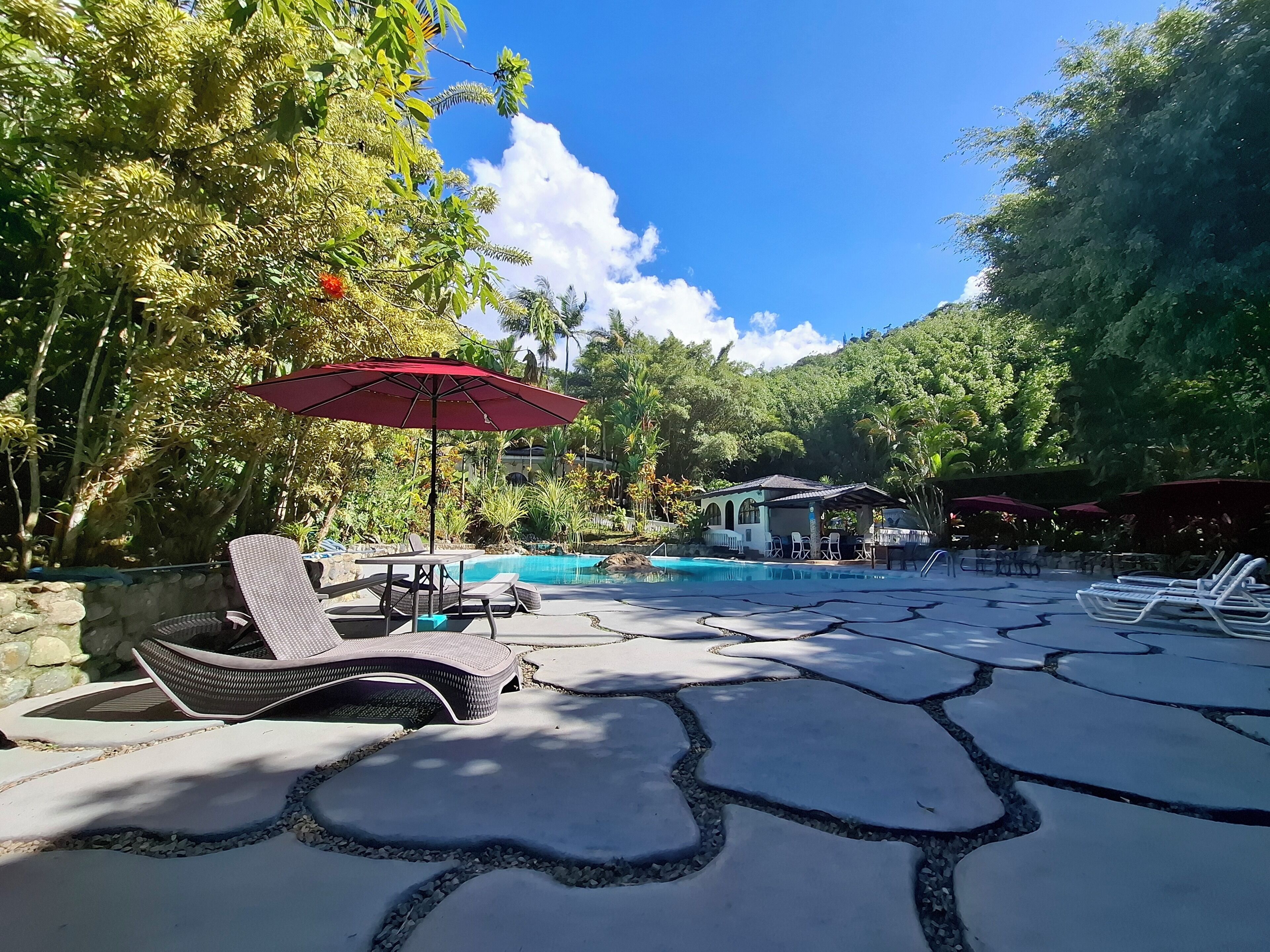 A pool area with lounge chairs and umbrellas, surrounded by lush greenery.