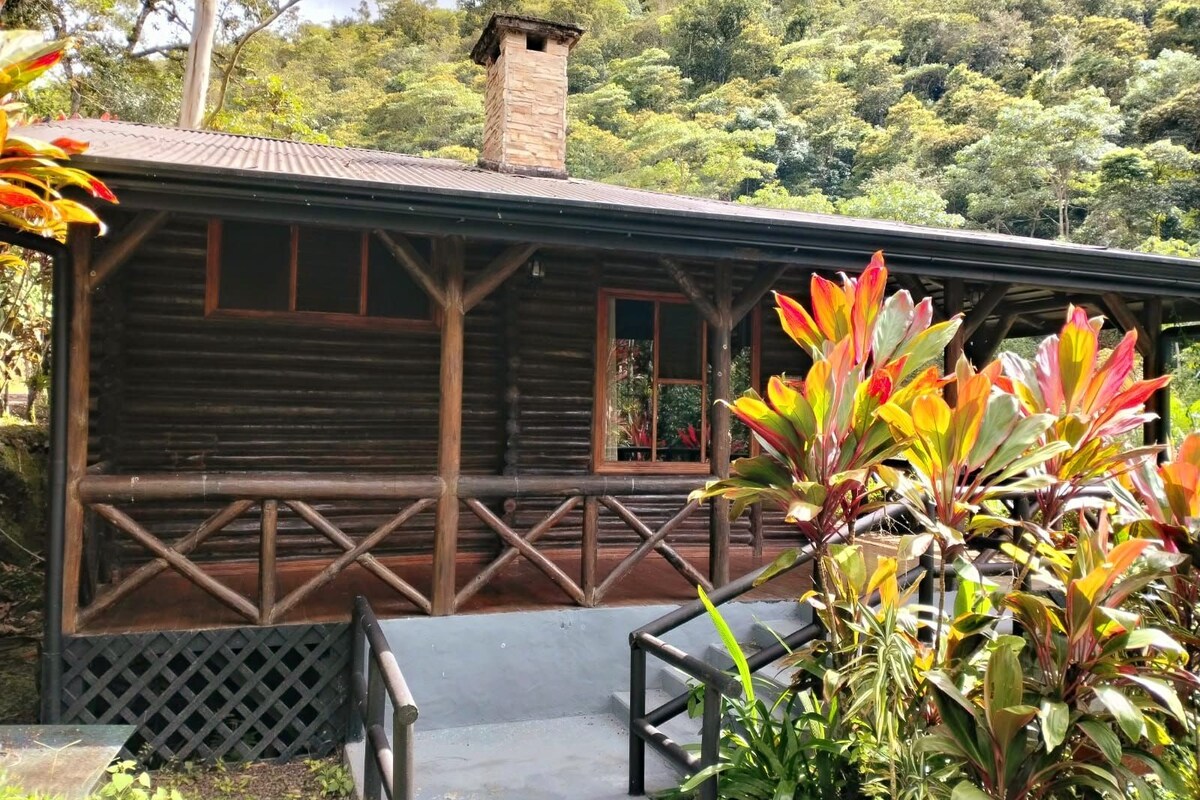 Double Room, 1 Double Bed, Garden View | Premium bedding, down comforters, alarm clocks