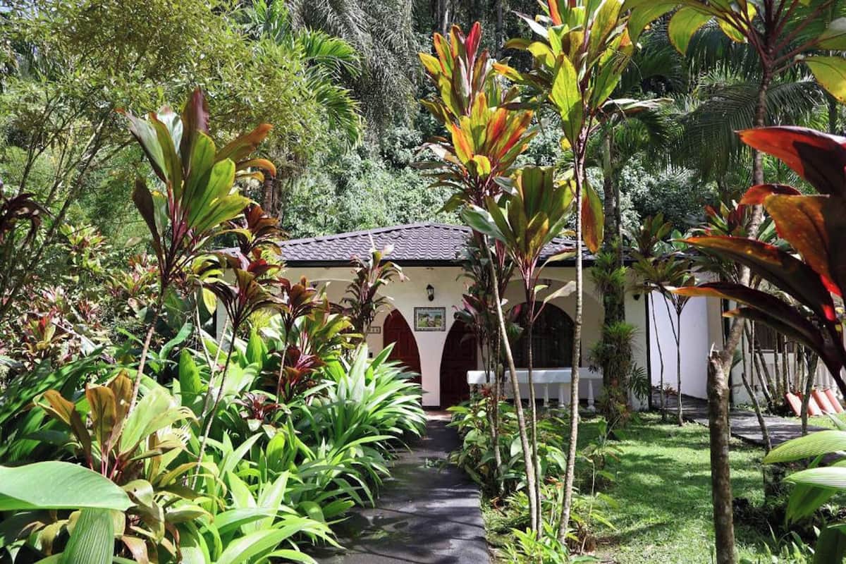 A pathway leading to a building surrounded by lush tropical plants.