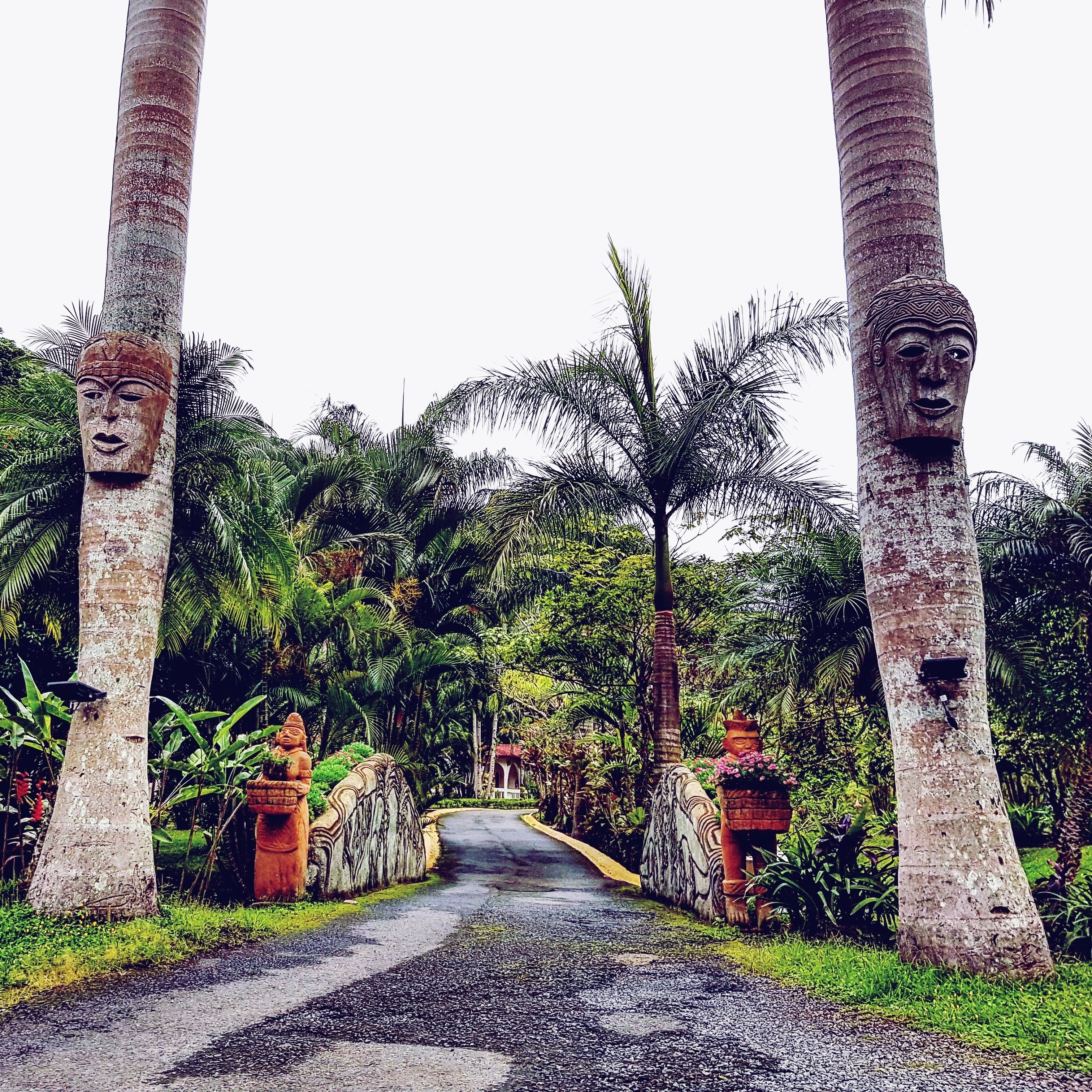 A pathway flanked by large stone pillars with carved faces, leading through a lush, tropical garden with palm trees and dense foliage.
