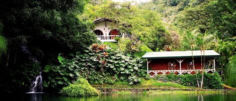 A serene lakeside setting with a waterfall, lush greenery, and a small building with a porch.