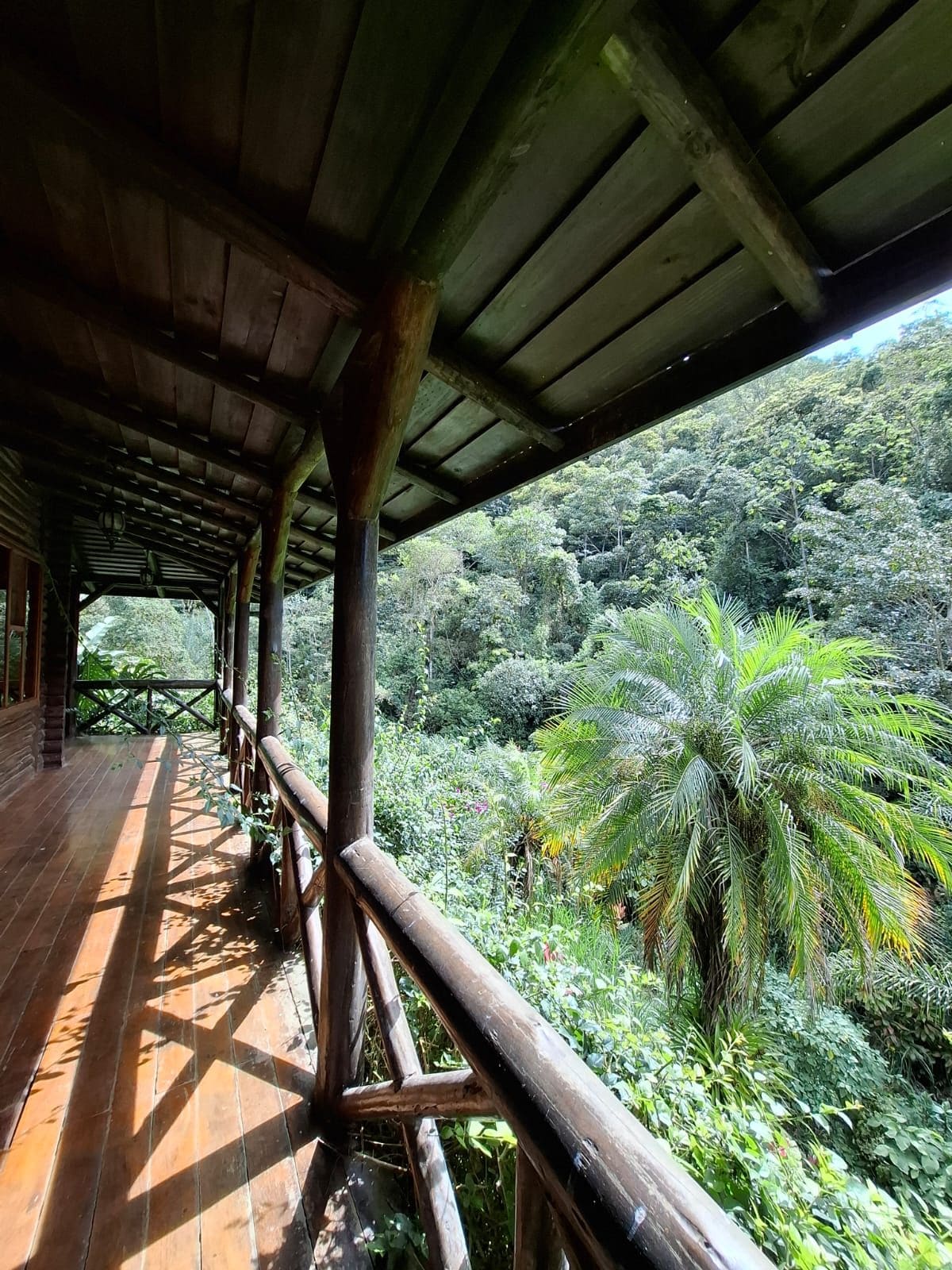 Una terraza de madera con vista a un bosque tupido.